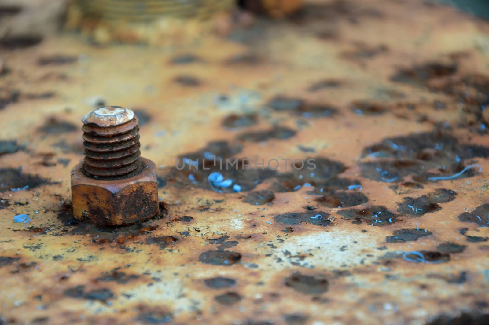 detailed rusty nut on iron plate