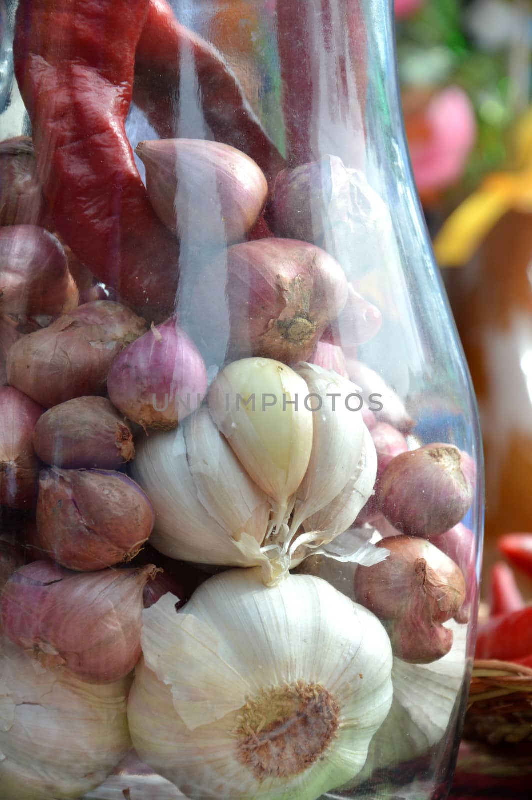 garlic by antonihalim
