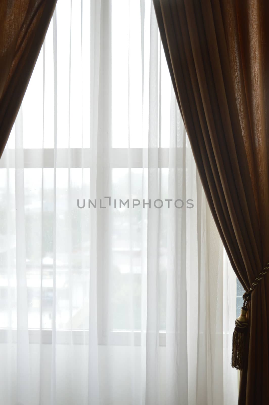 house window curtain by antonihalim