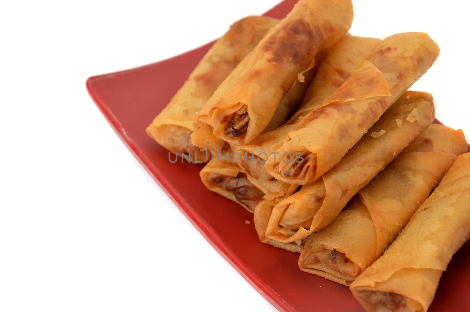 lumpia Semarang or Spring Rolls containing bamboo shoots and chicken on red plate at white background 