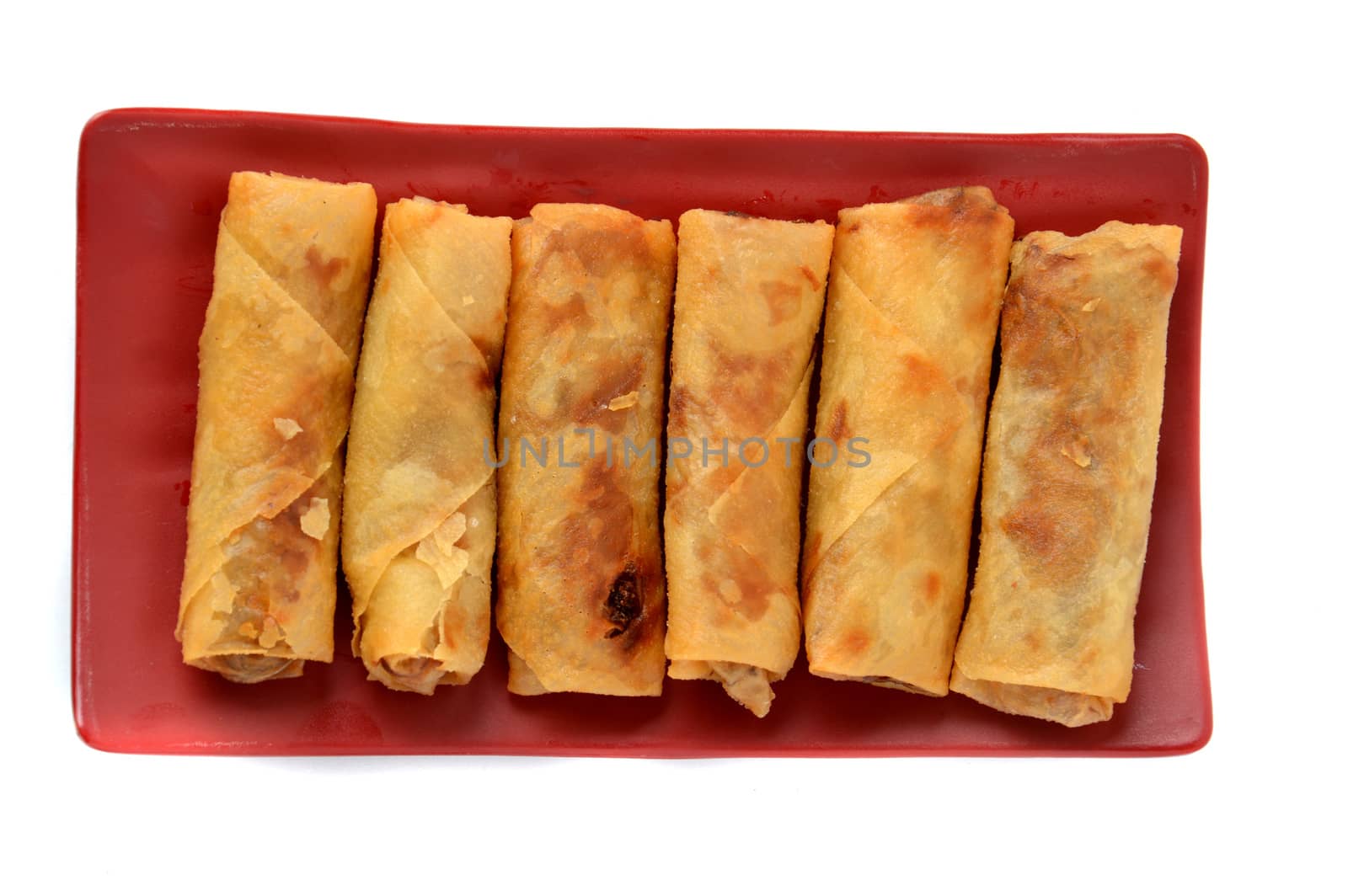 lumpia Semarang or Spring Rolls containing bamboo shoots and chicken on red plate at white background 