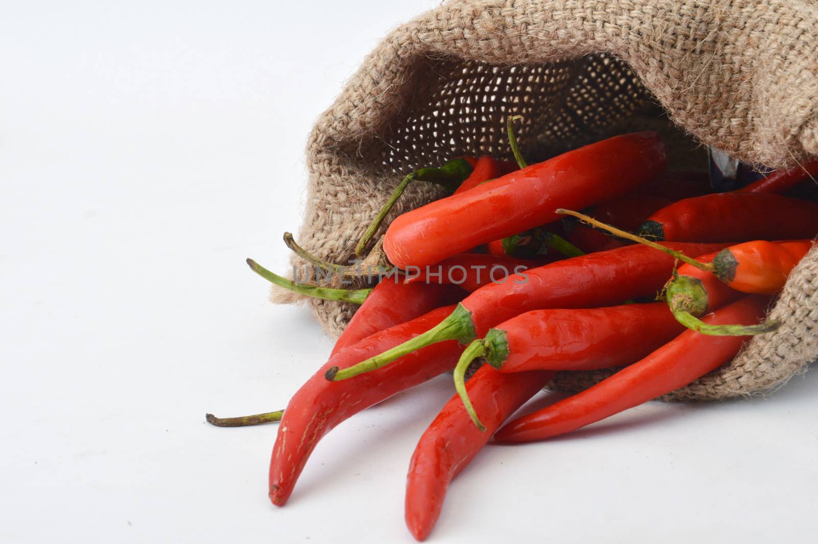 big chili red in a burlap sack on white background