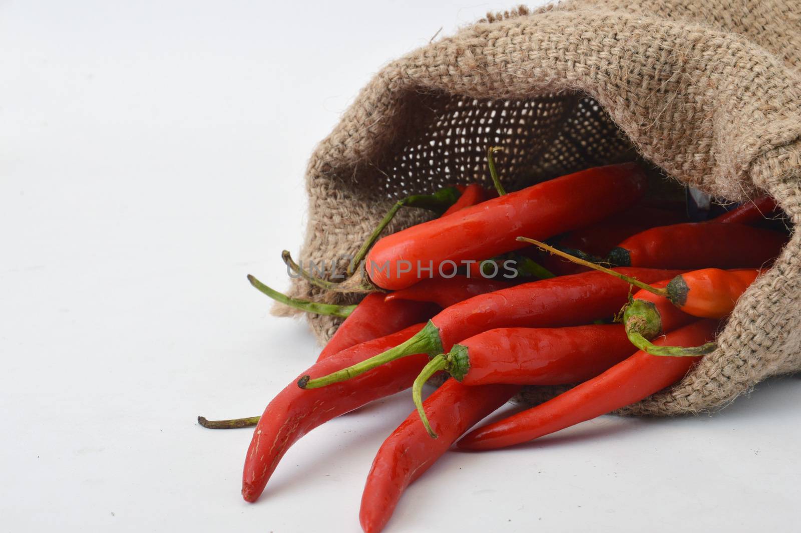 big chili red in a burlap sack on white background