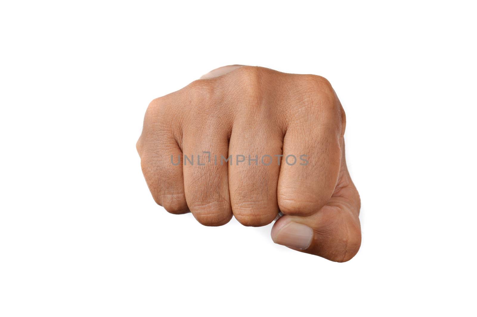 fist facing the front on white background