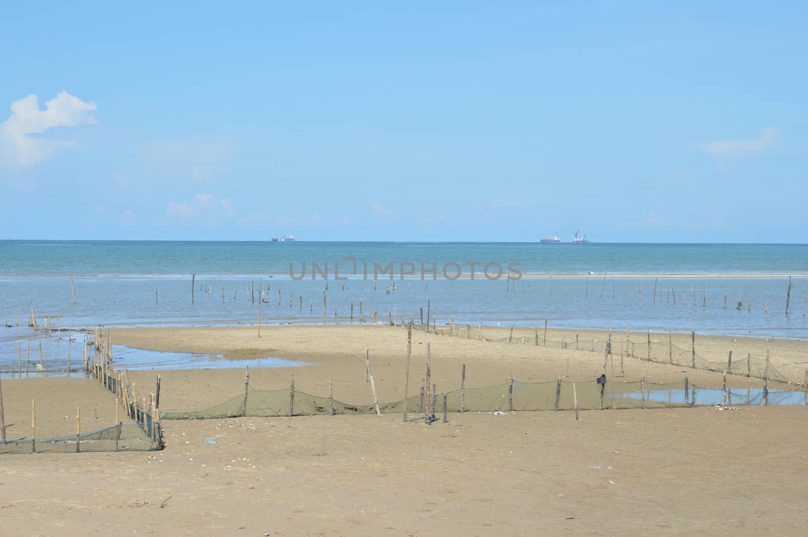 Kapah or shellfish farming at Amal beach Tarakan, Indonesia