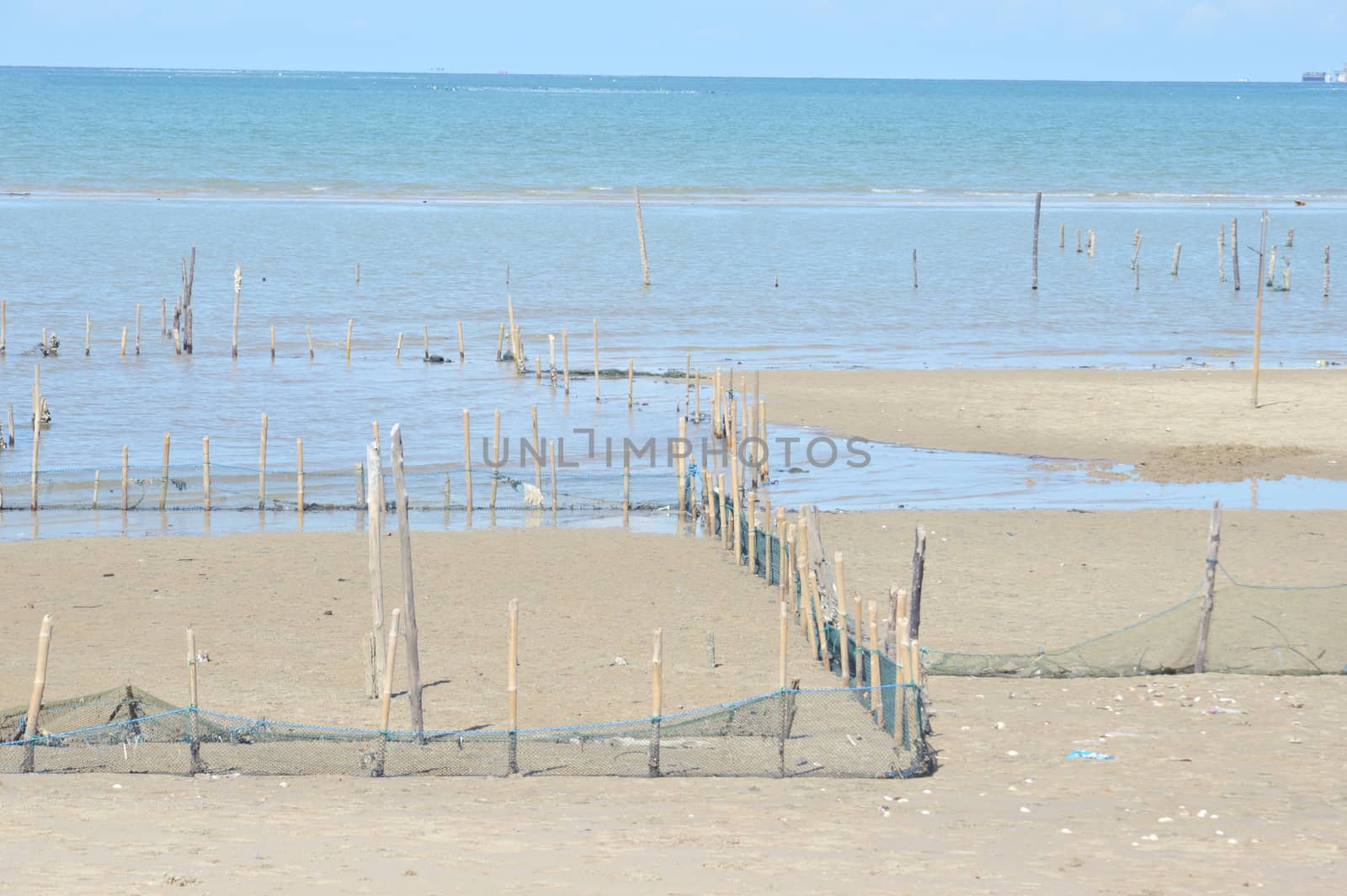 Kapah or shellfish farming at Amal beach Tarakan, Indonesia