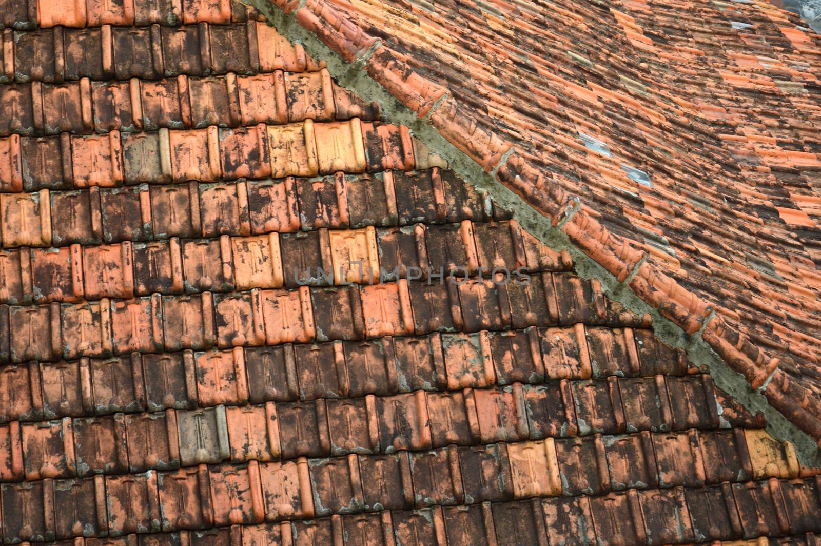 pattern and texture of  roof tiles