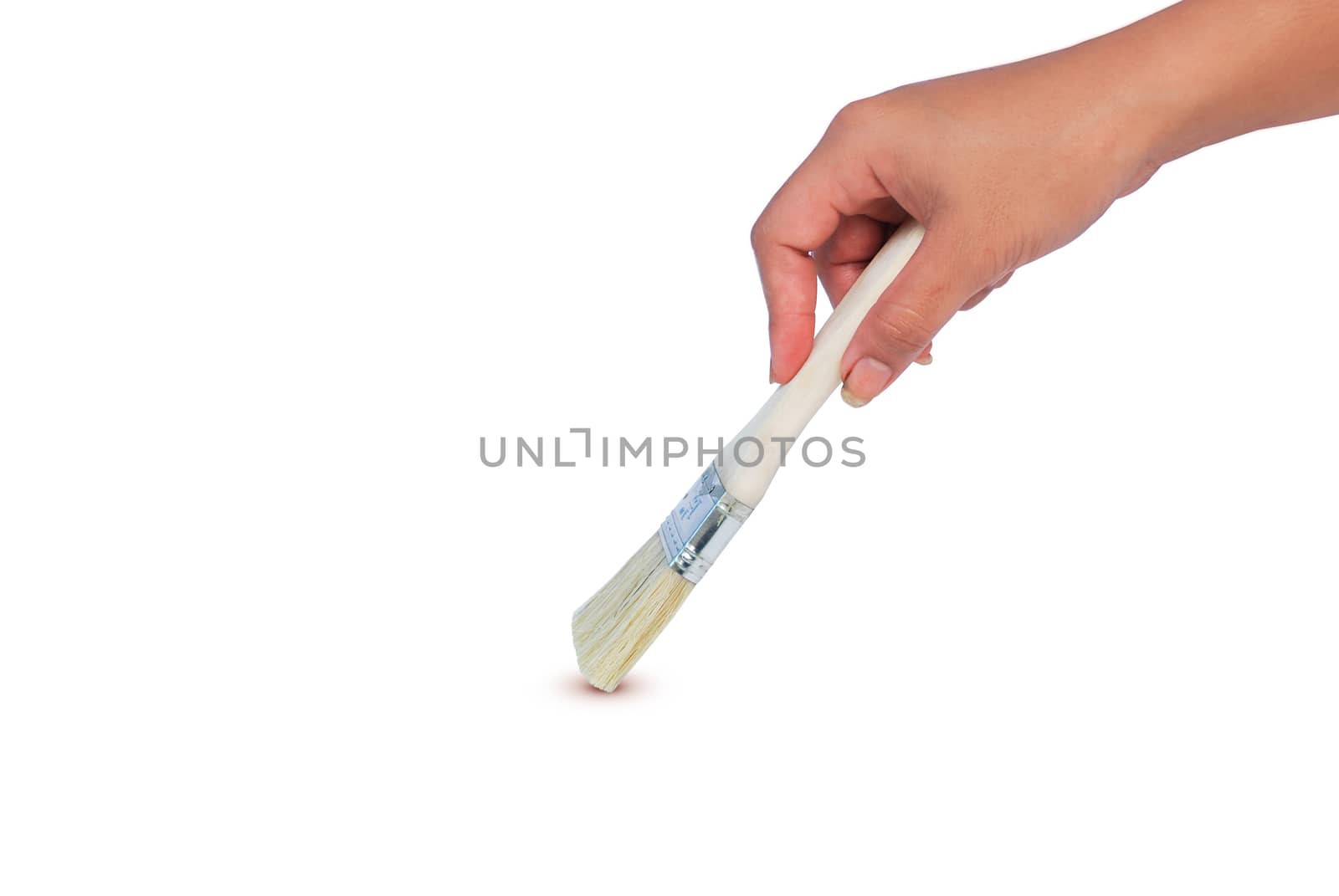 Paint brush, white wooden handle, size 1.5 inch.on white background.With Clipping Path.