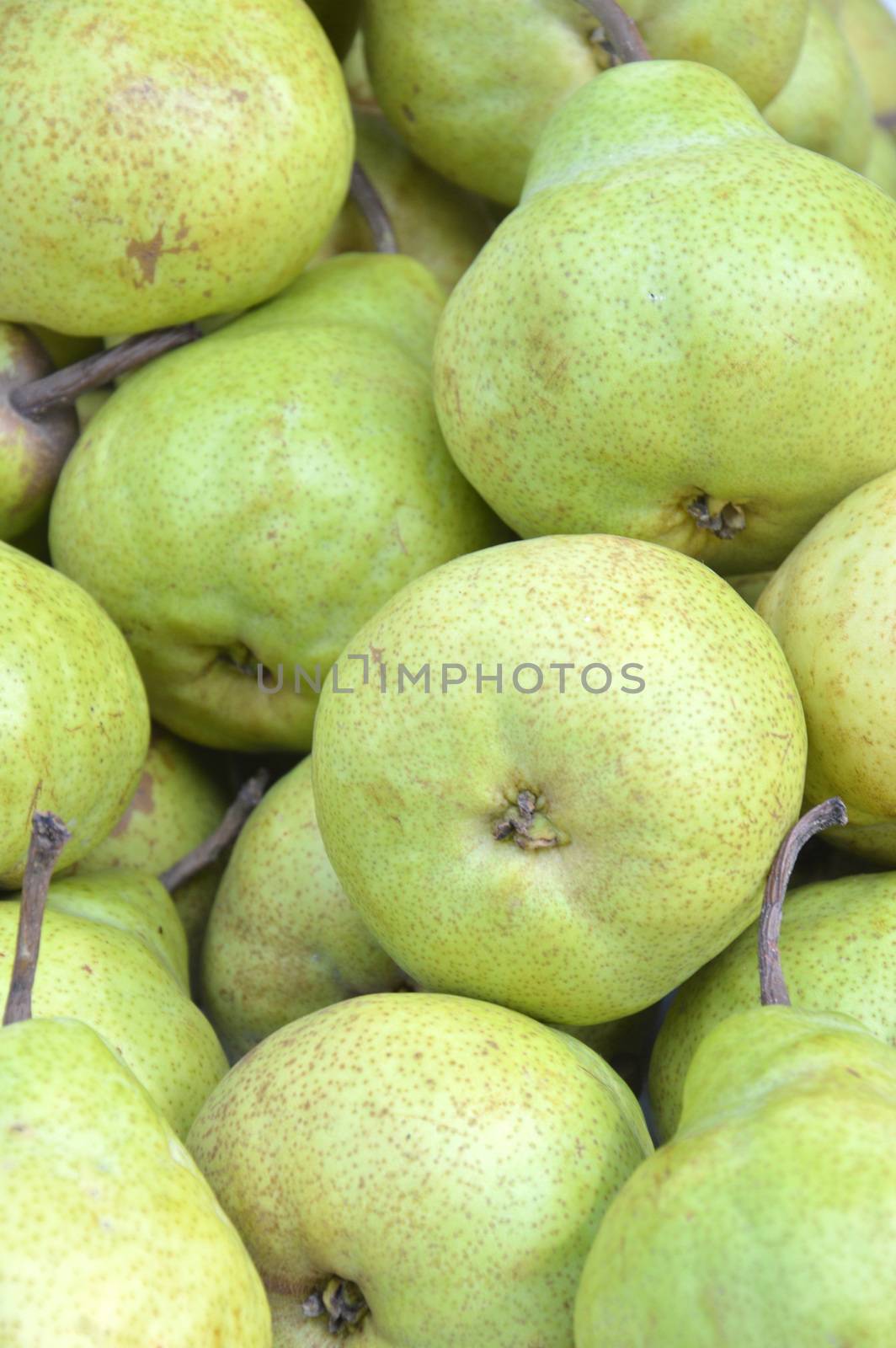 pear by antonihalim