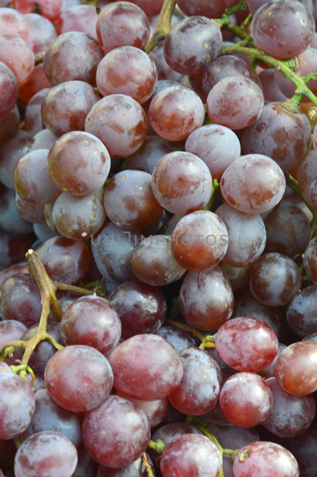 red grapes background