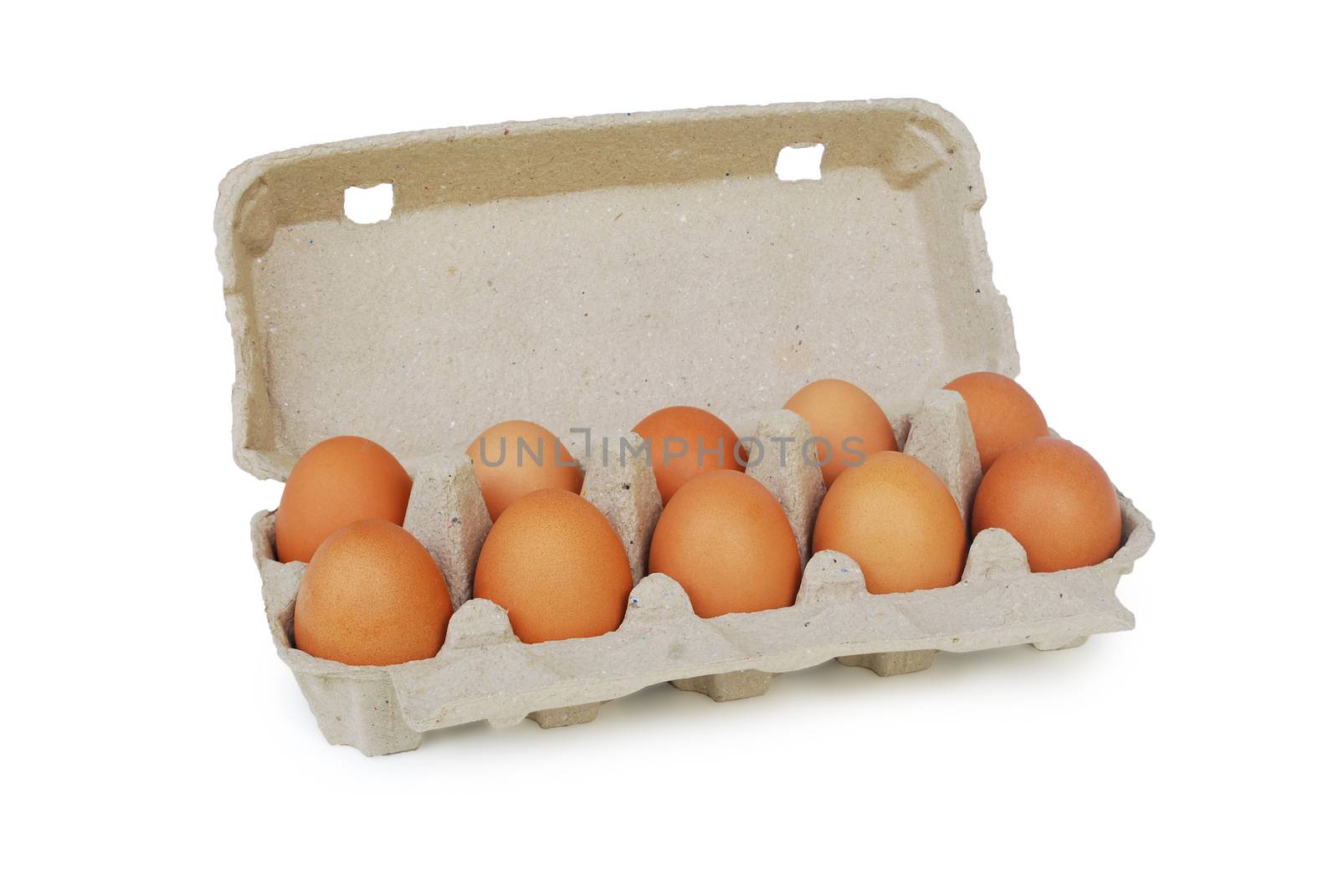 Raised eggs, pack 10 bubbles on white background.With Clipping Path.