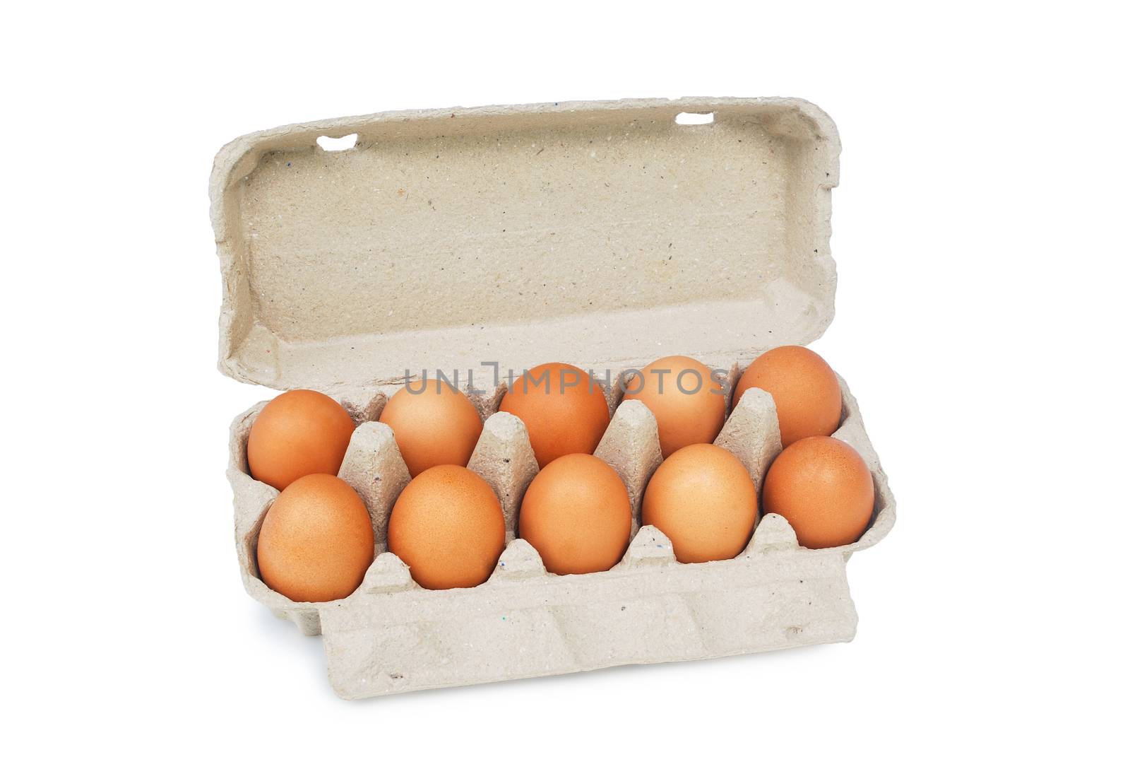 Raised eggs, pack 10 bubbles on white background.With Clipping Path.