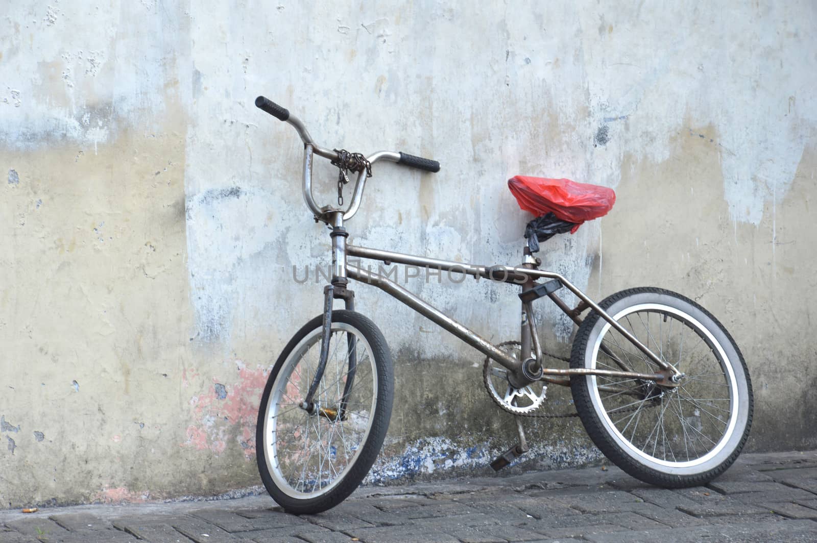 bike on the wall