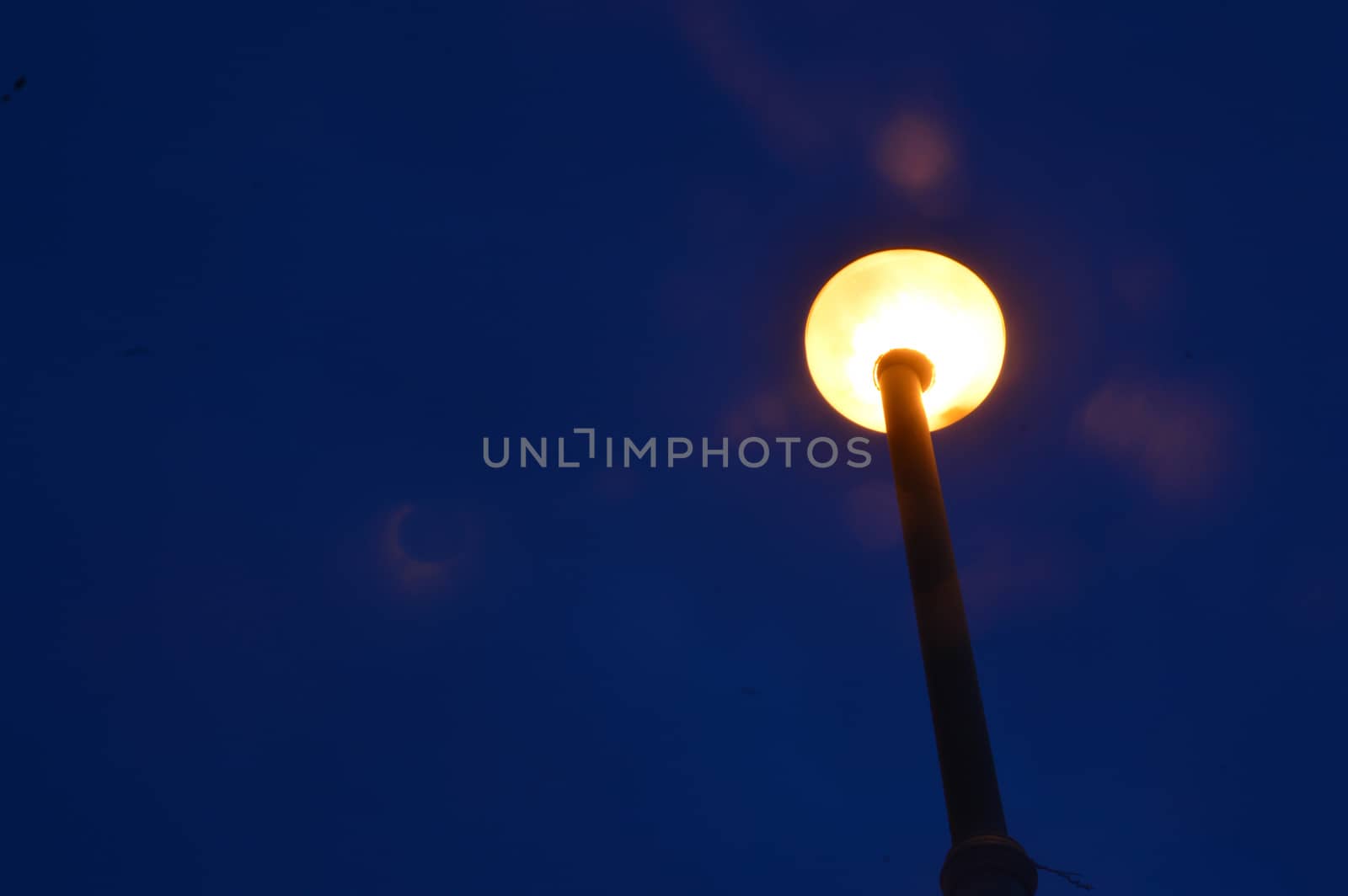 park light poles with sky backgrounds