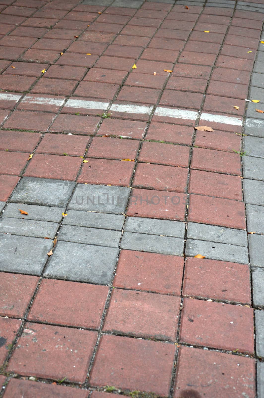 pattern on the footpath paving block