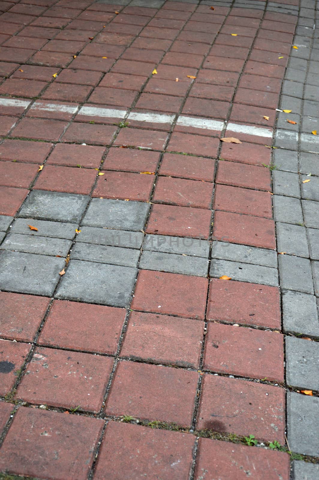 pattern on the footpath paving block