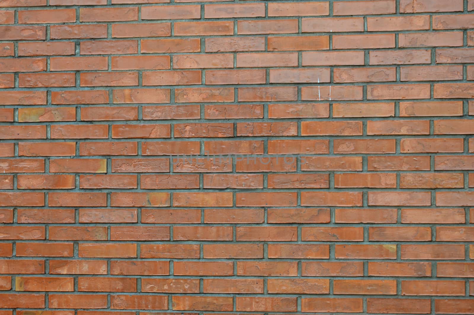 brick wall by antonihalim