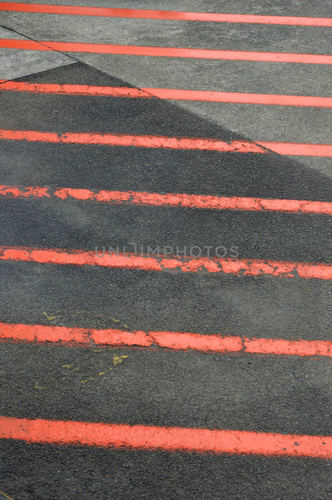 red lines on the asphalt