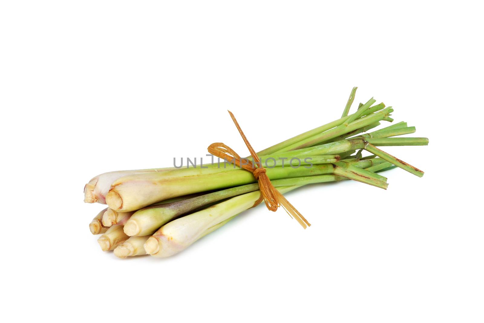 Lemongrass is an important ingredient in Thai food.With Clipping Path.