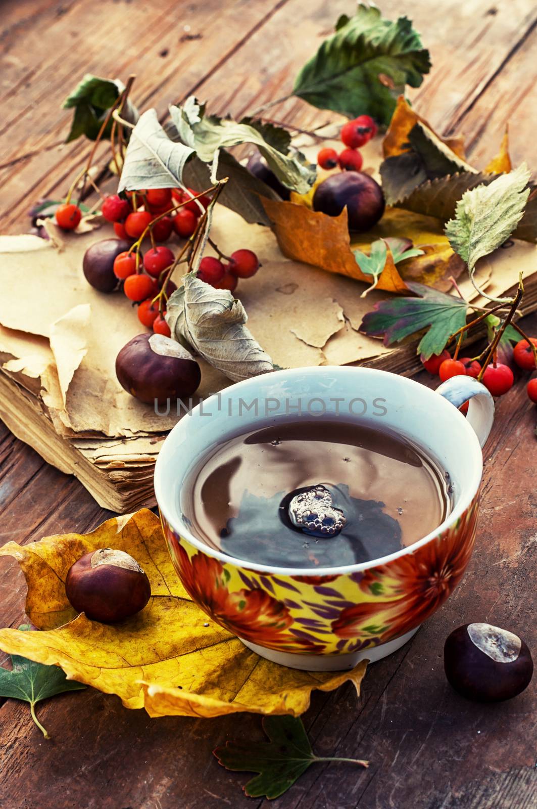 Symbols of autumn, fallen leaves, November, tea