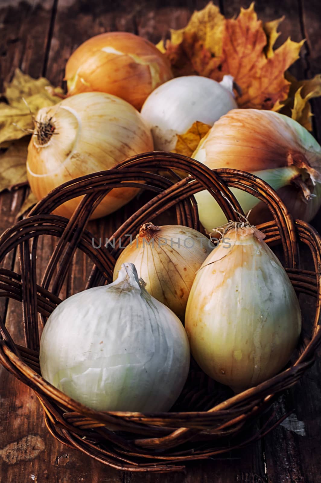 Autumn harvest of onions on a wooden table