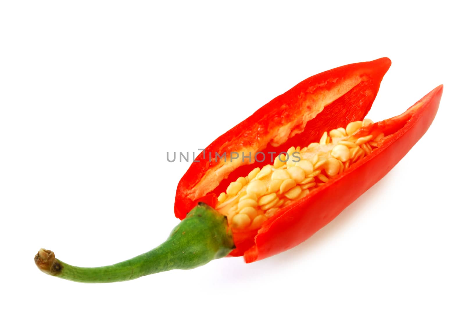 Capsicum frutescens L. Chilli Pepper.Chili has anti-oxidants, helps slow down aging.With Clipping Path