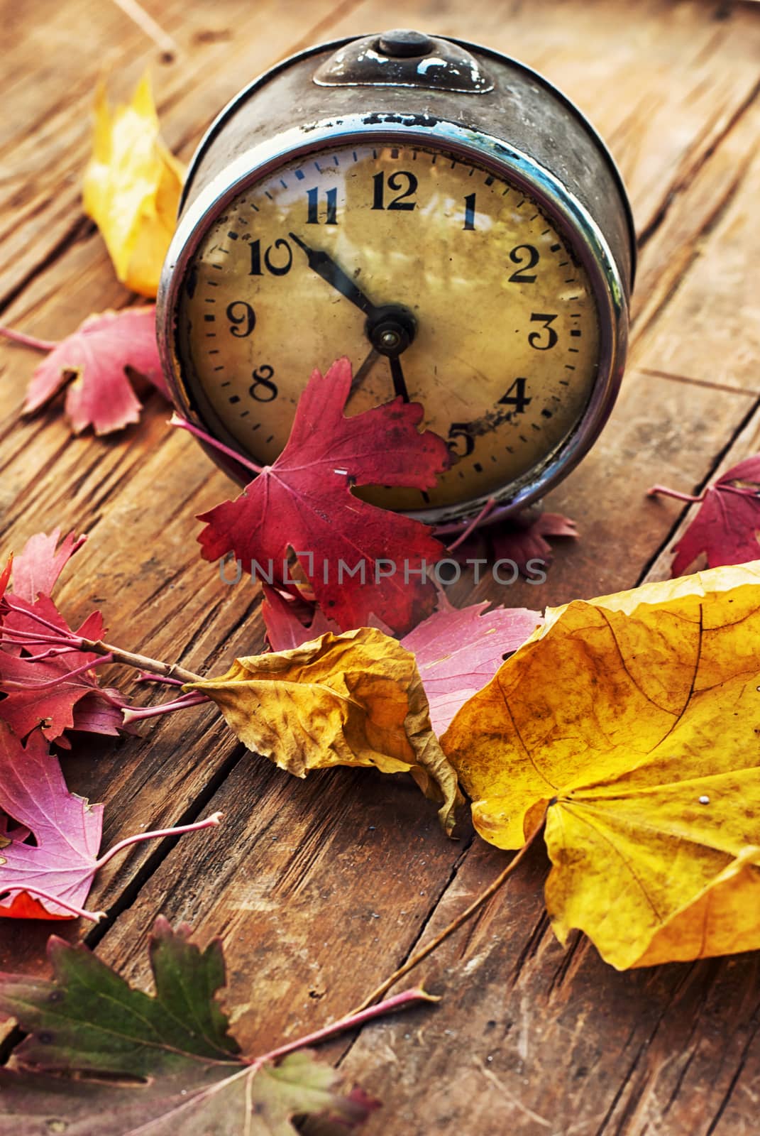 Autumn still life by LMykola