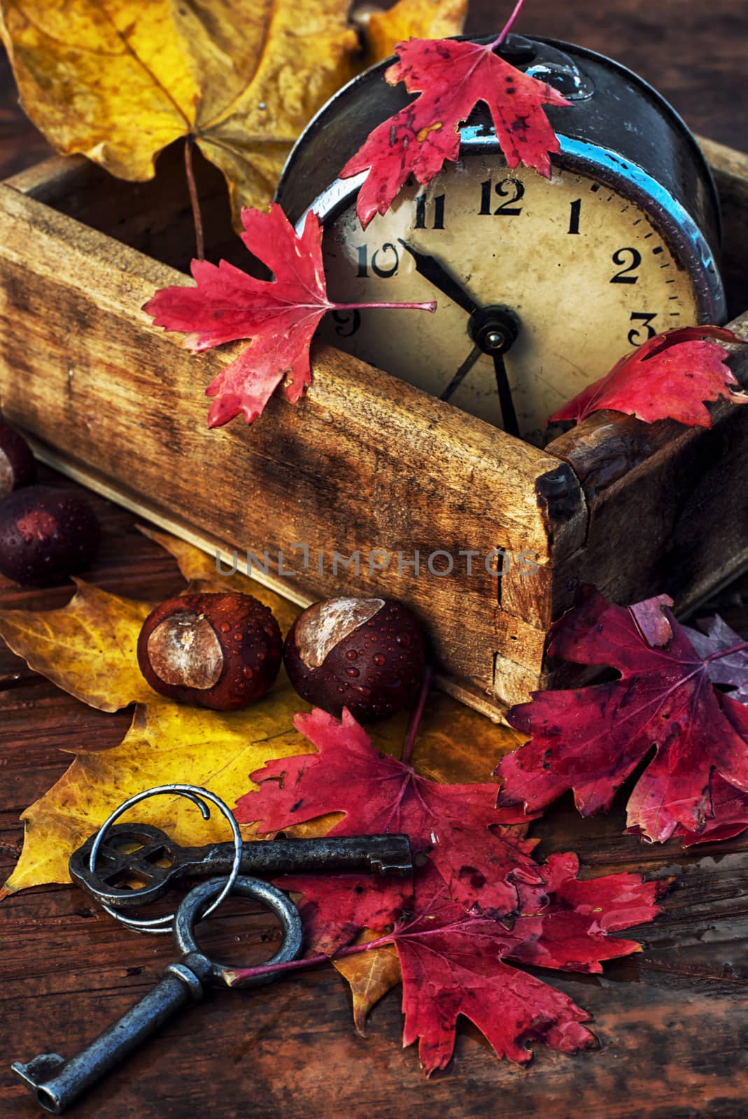 Autumn still life by LMykola