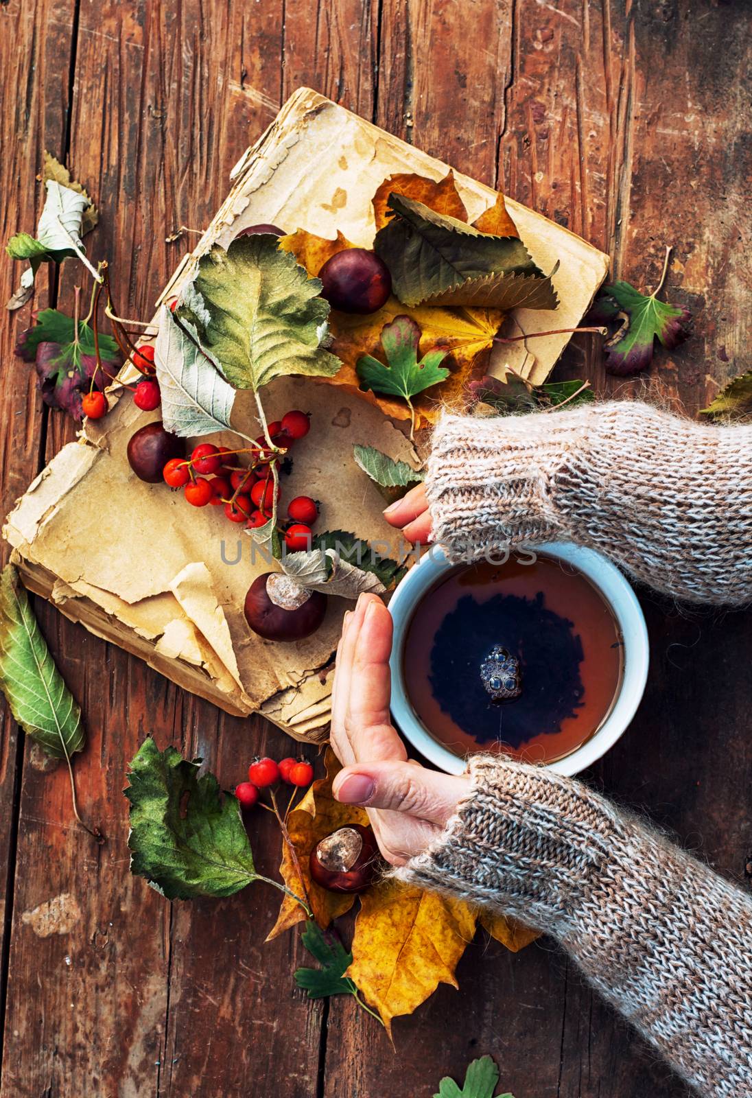 Symbolic autumn tea by LMykola
