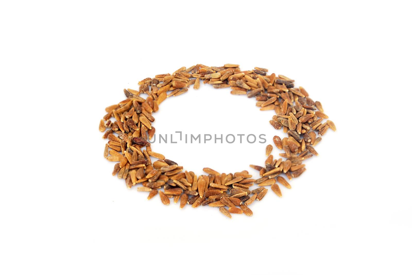 Aster seeds  on white background.
