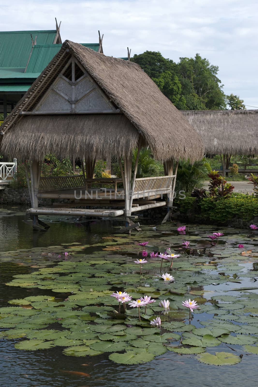 gazebo in a lotus pond at Pangkep, Indonesia