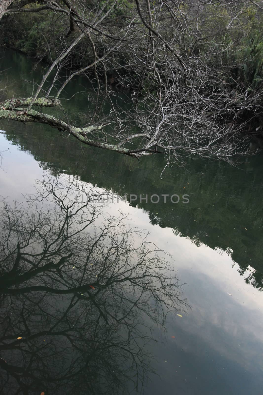 Karajae river  by antonihalim