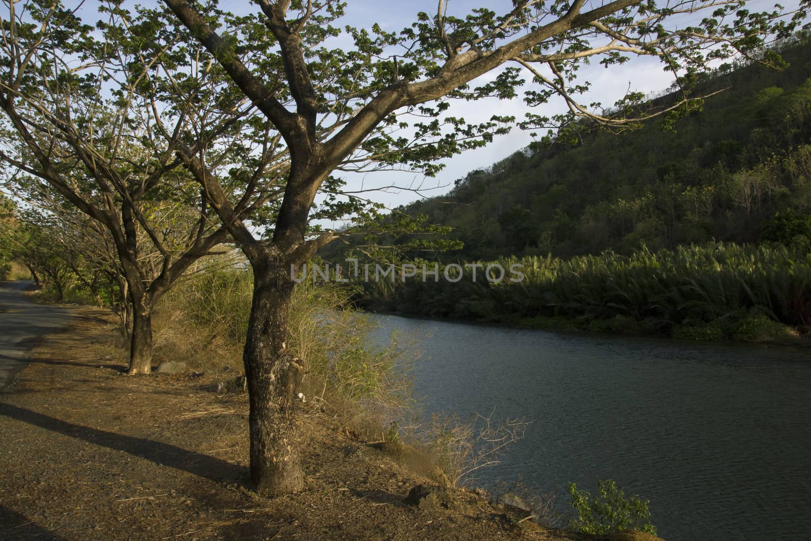 beautiful village panaroma on South Sulawesi