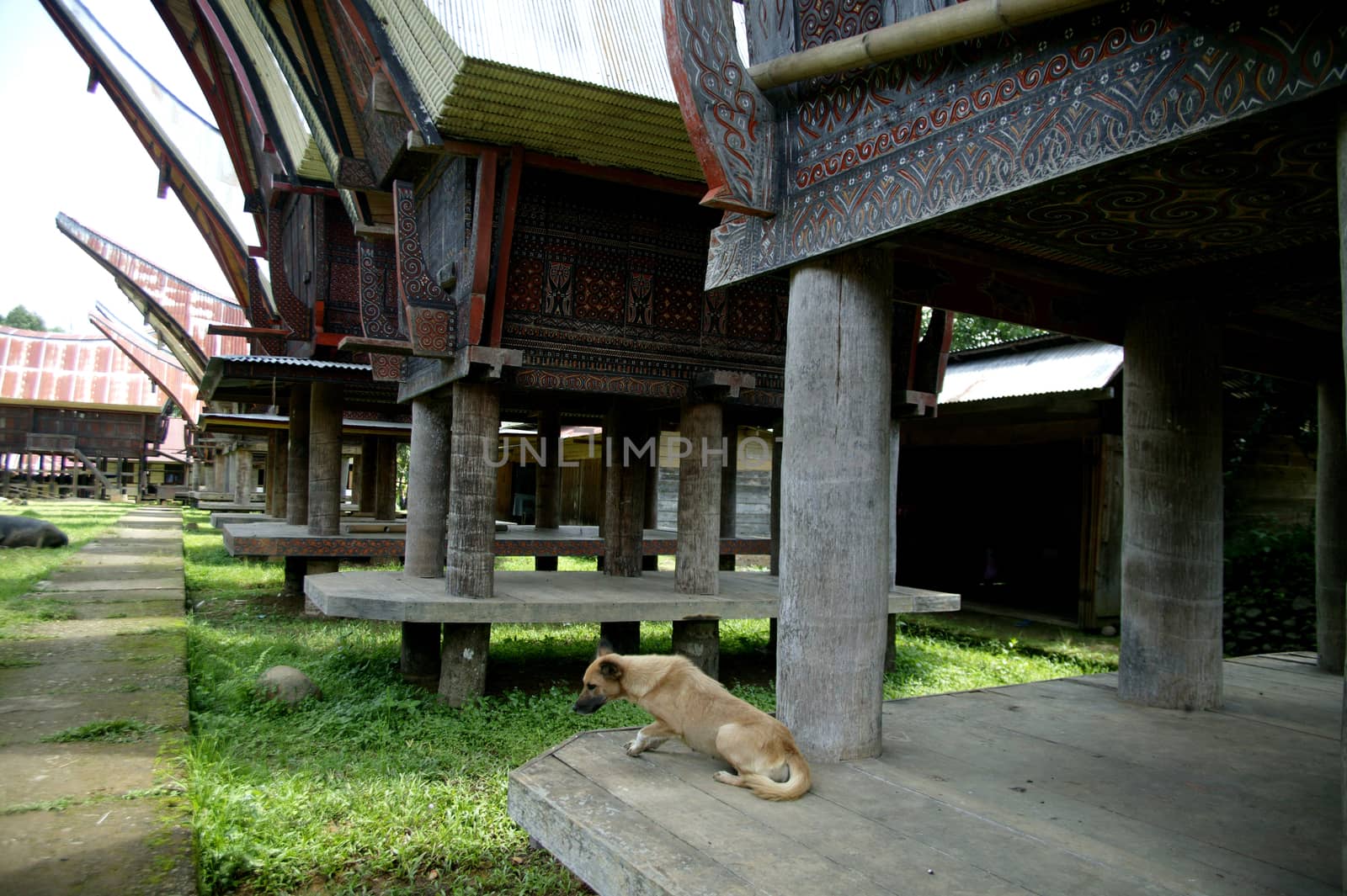 Tongkonan, Traditional house of Toraja Indonesia