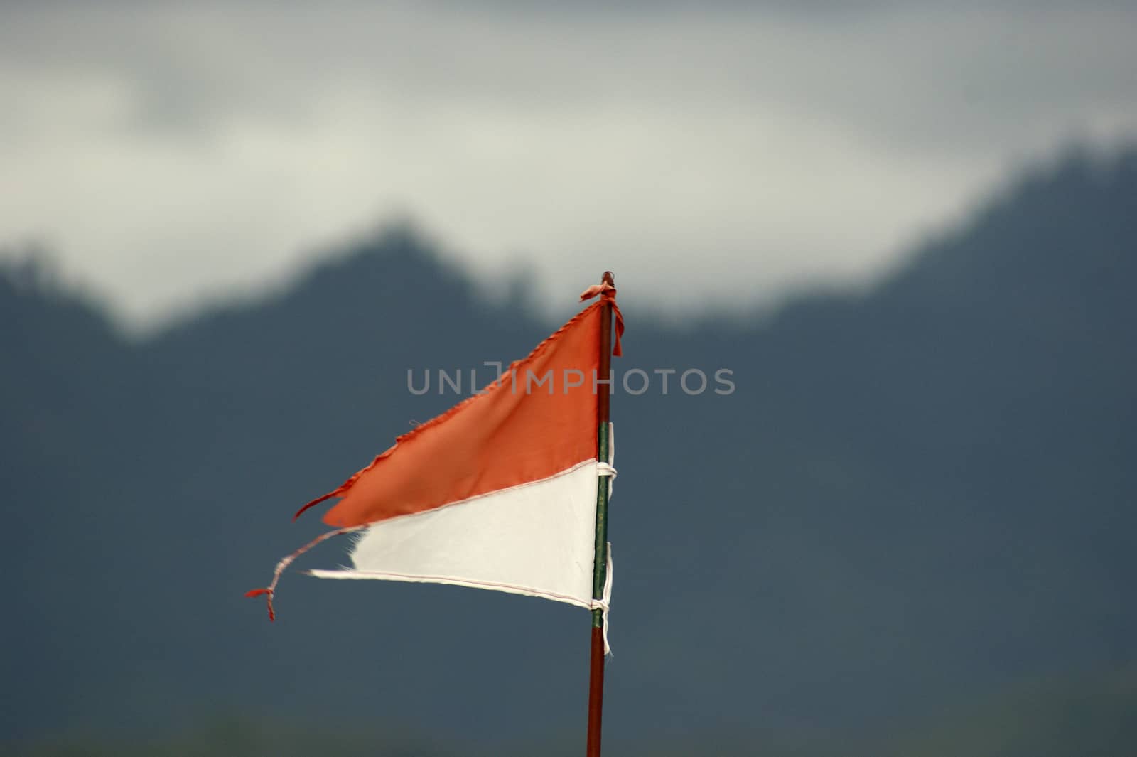 Indonesia's flag by antonihalim