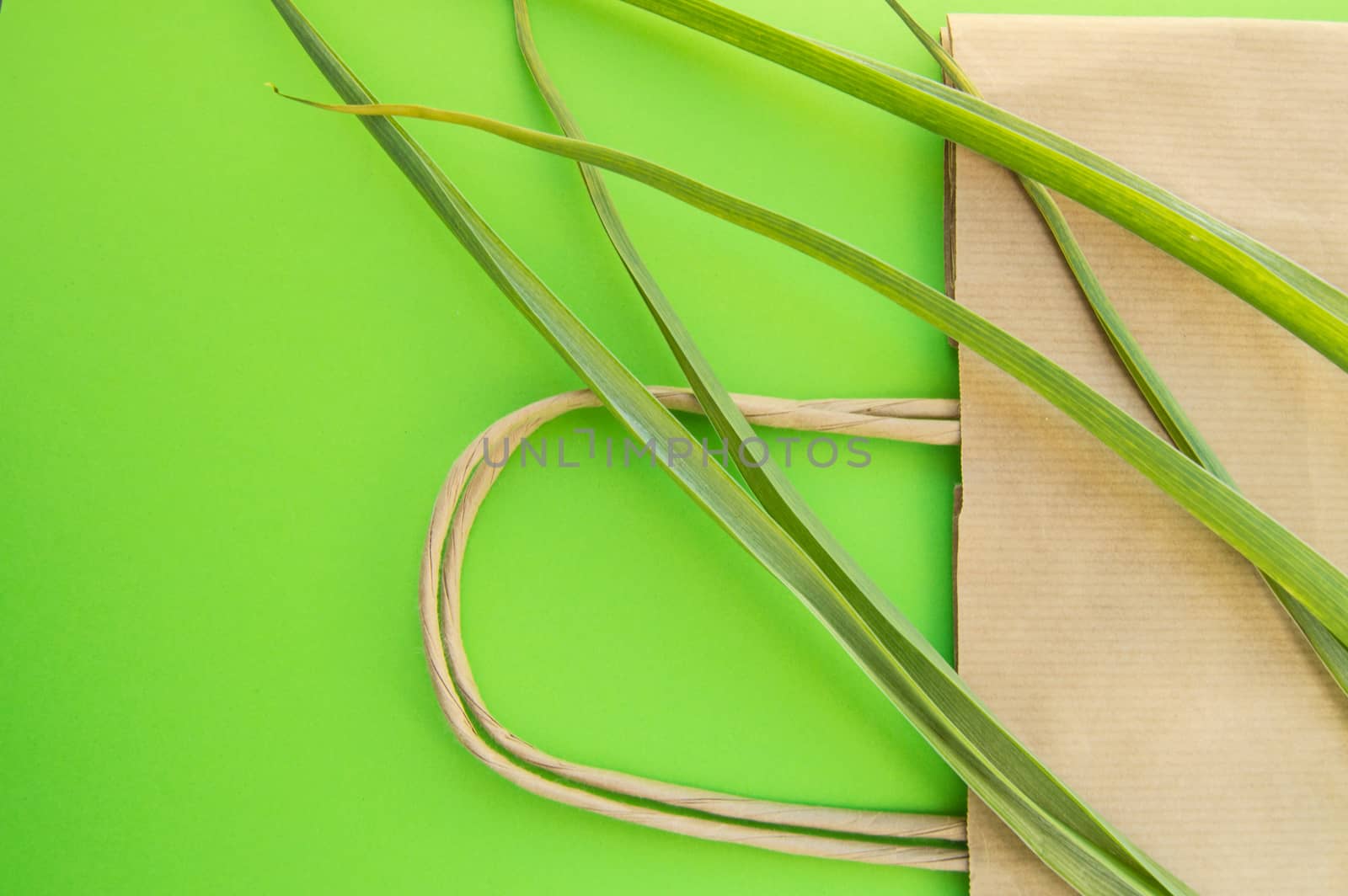 Paper shopping bag eco top view flat position with herbaceous plants on green background, zero waste ecology concept and world environment day, copy spase