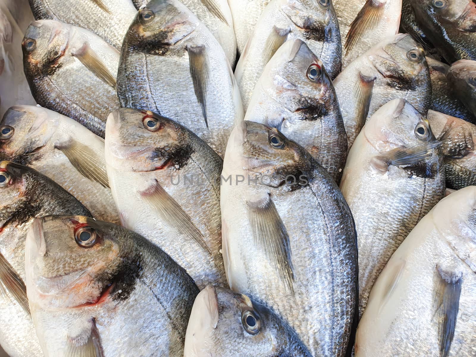 Bream fish on ice for sale by Robertobinetti70