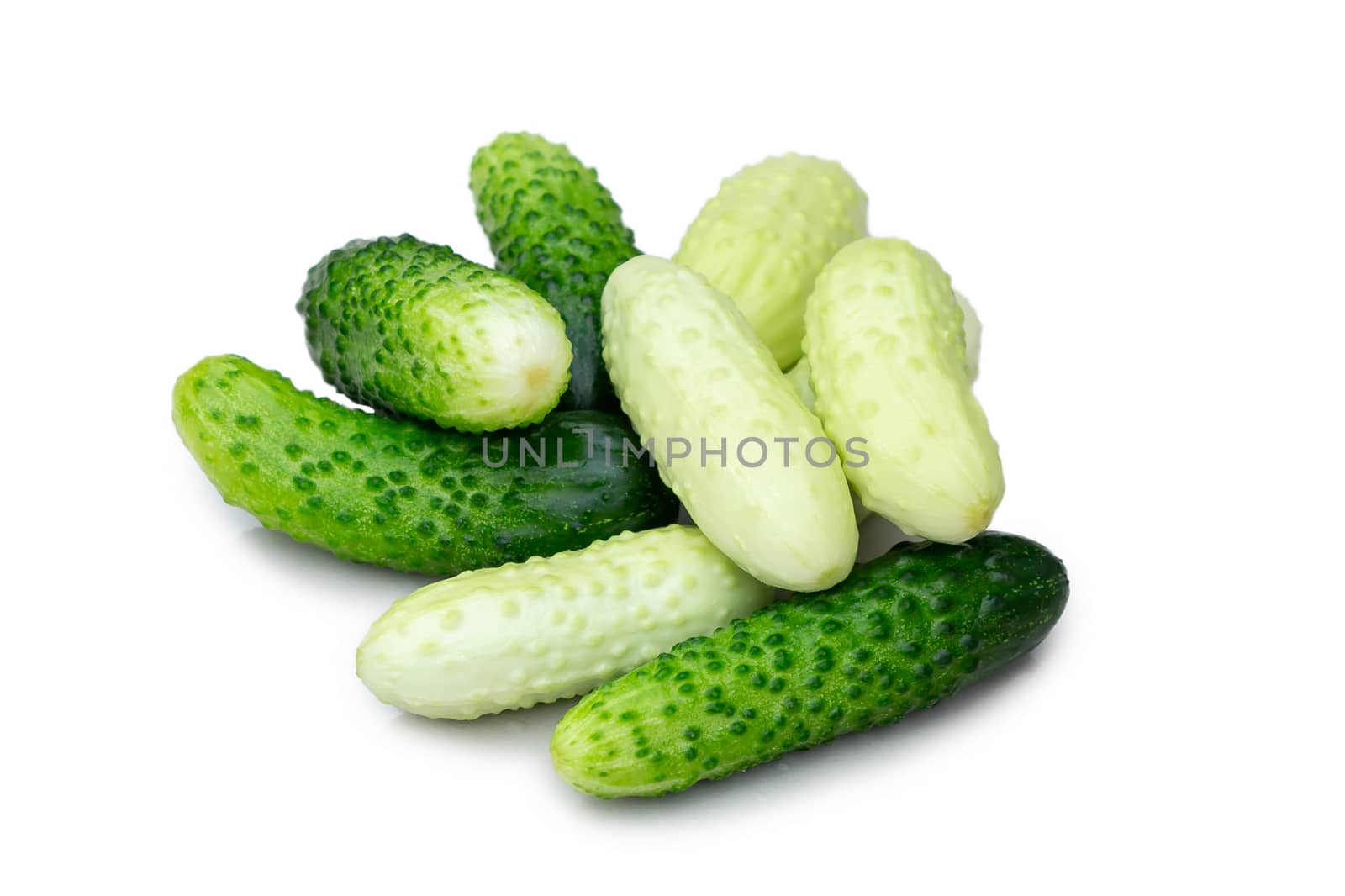 Several small cucumbers gherkins of different varieties isolated on white background by galsand