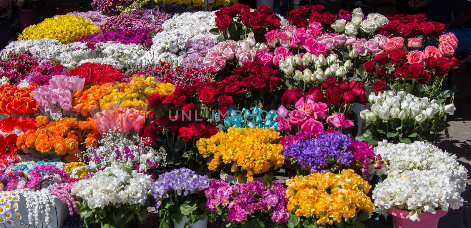 Fresh colorful Flowers put in vases by berkay