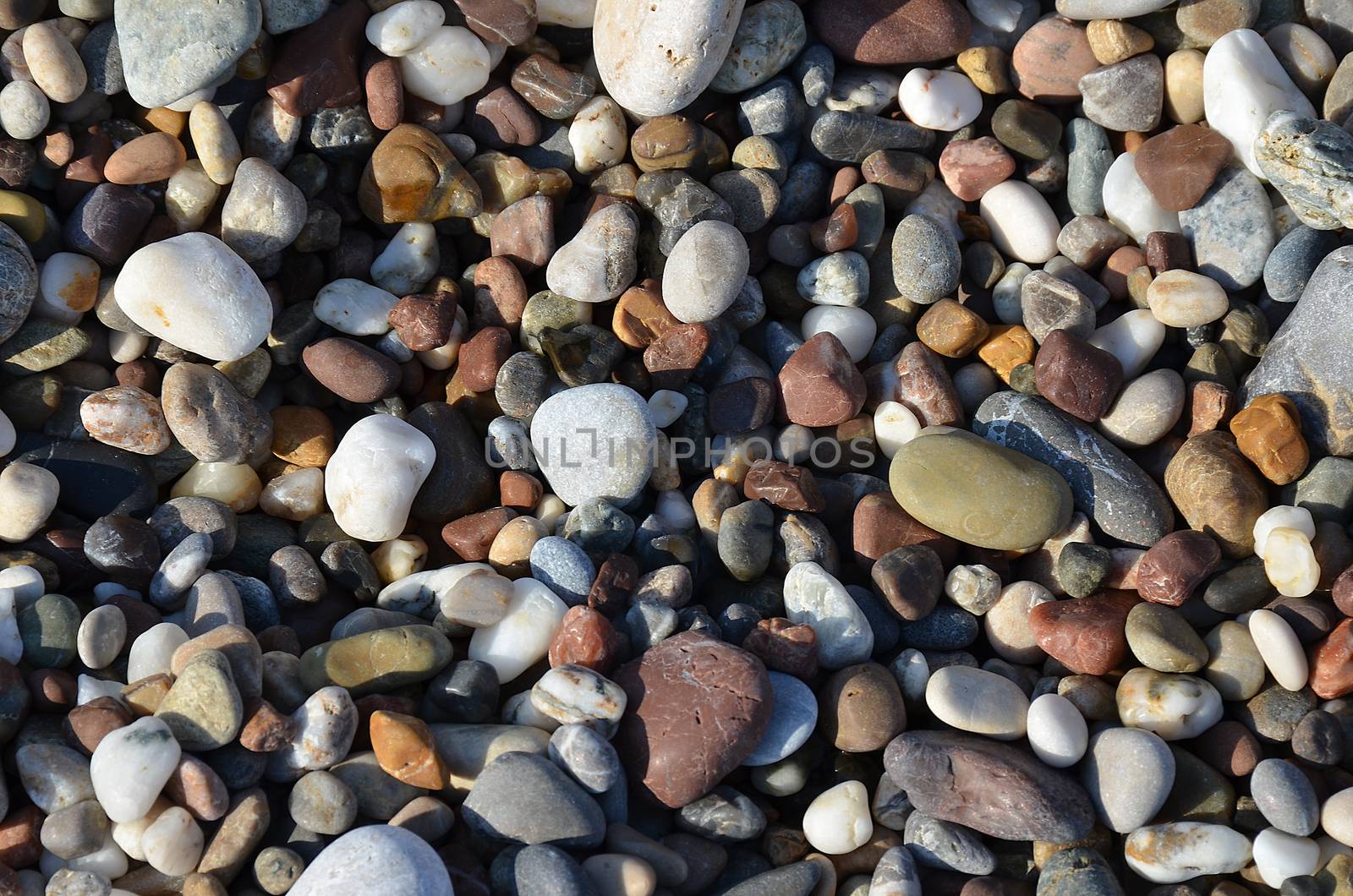 Detail of the various sea pebbles stones by jordano