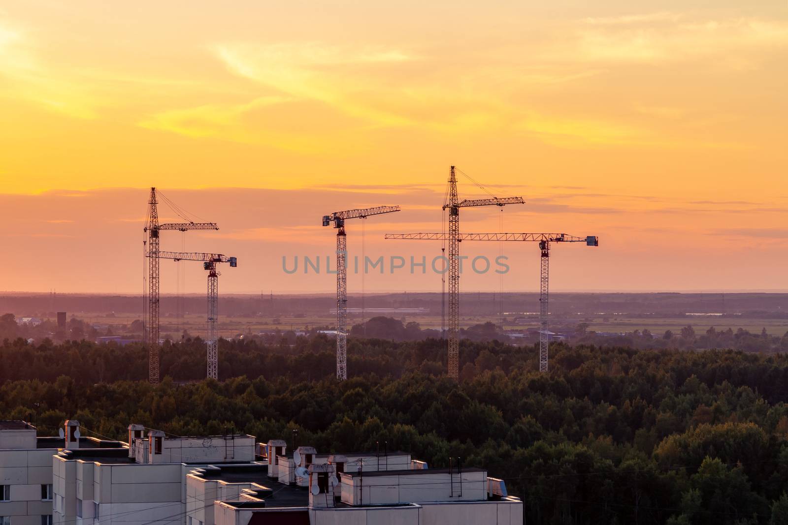 Several construction cranes on the background of colorful sunset sky by galsand