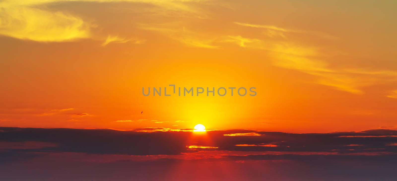 Panoramic view of the horizon and colorful sunset on the outskirts of the city by galsand