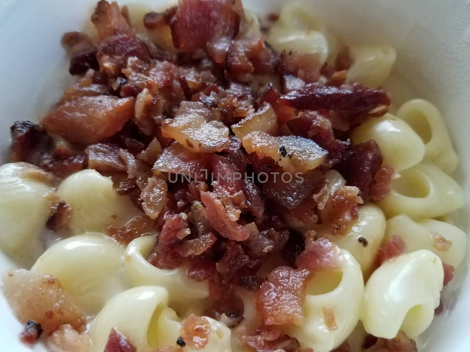 bacon meat and cheesy pasta shells in bowl by stockphotofan1