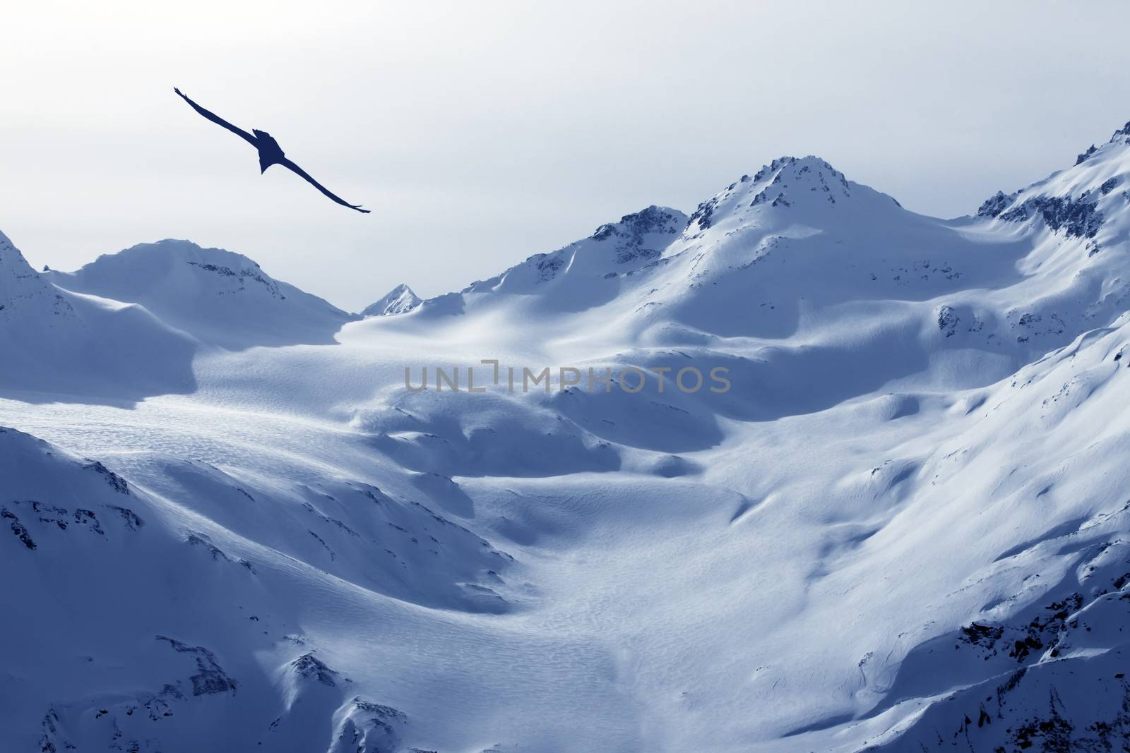 View on Elbrus Mount - the highest point of Europe. Russia. Caucasus