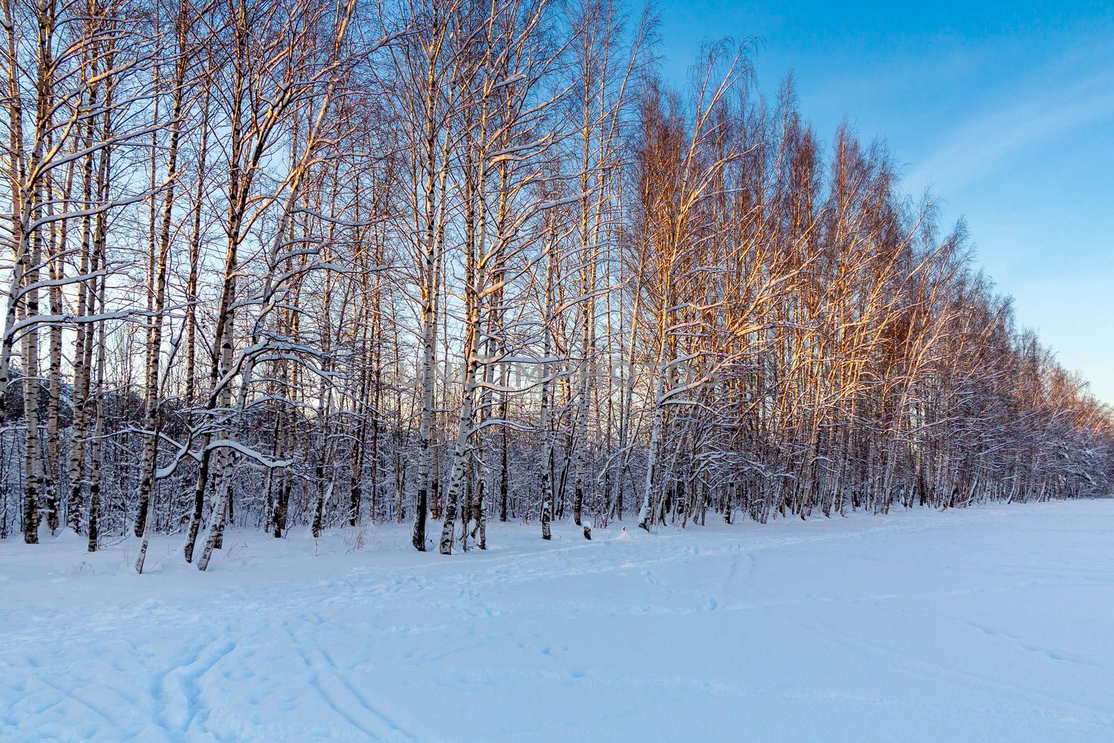 Ski track and footpath on the outskirts of the city by galsand