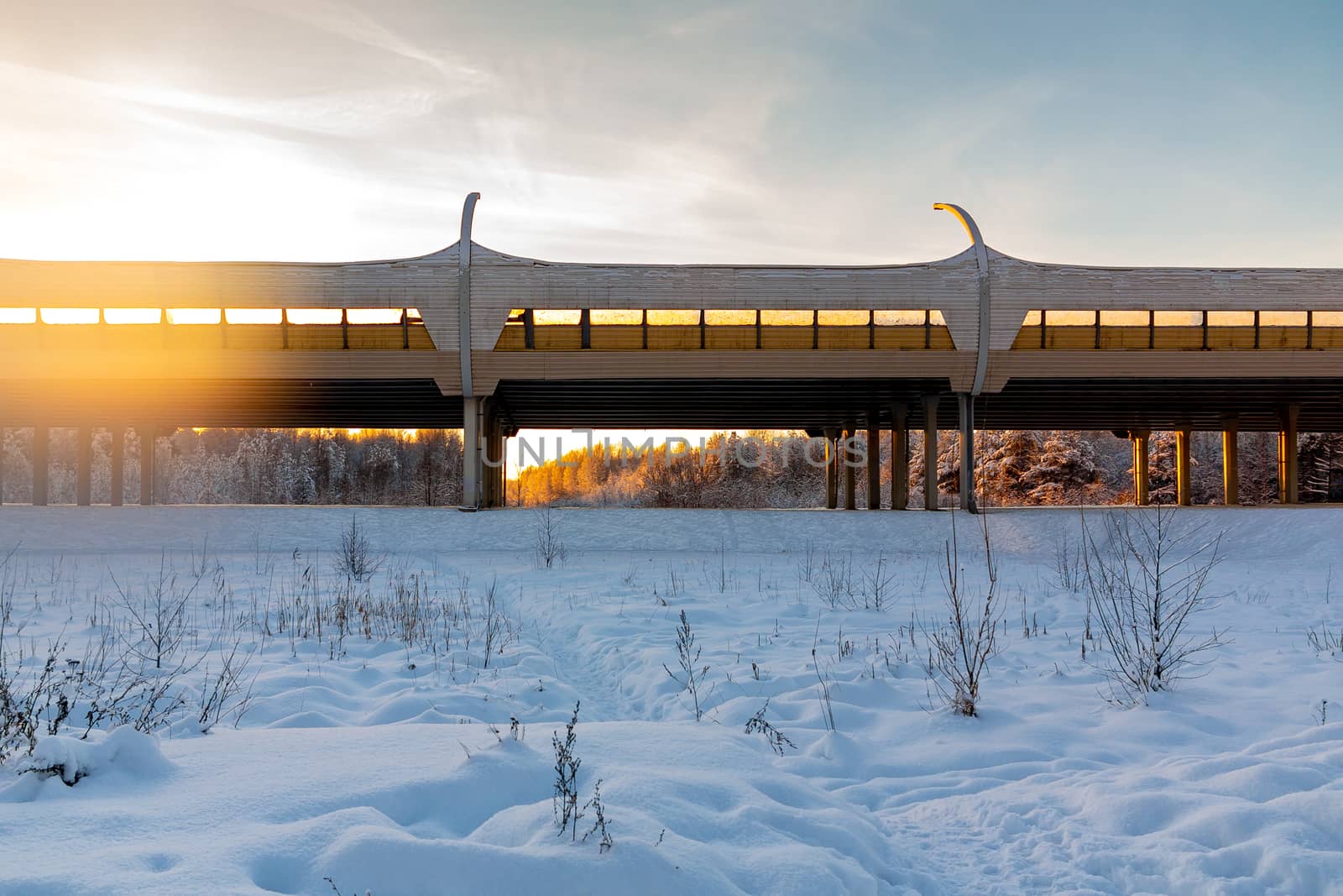 Elevated highway through the winter forest at sunset.