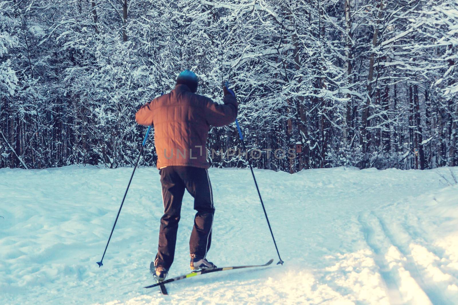 Male skier rides in the winter park at sunset by galsand