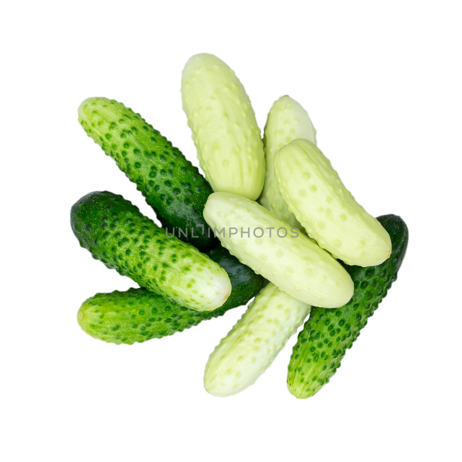Several small cucumbers gherkins of different varieties isolated on white background by galsand