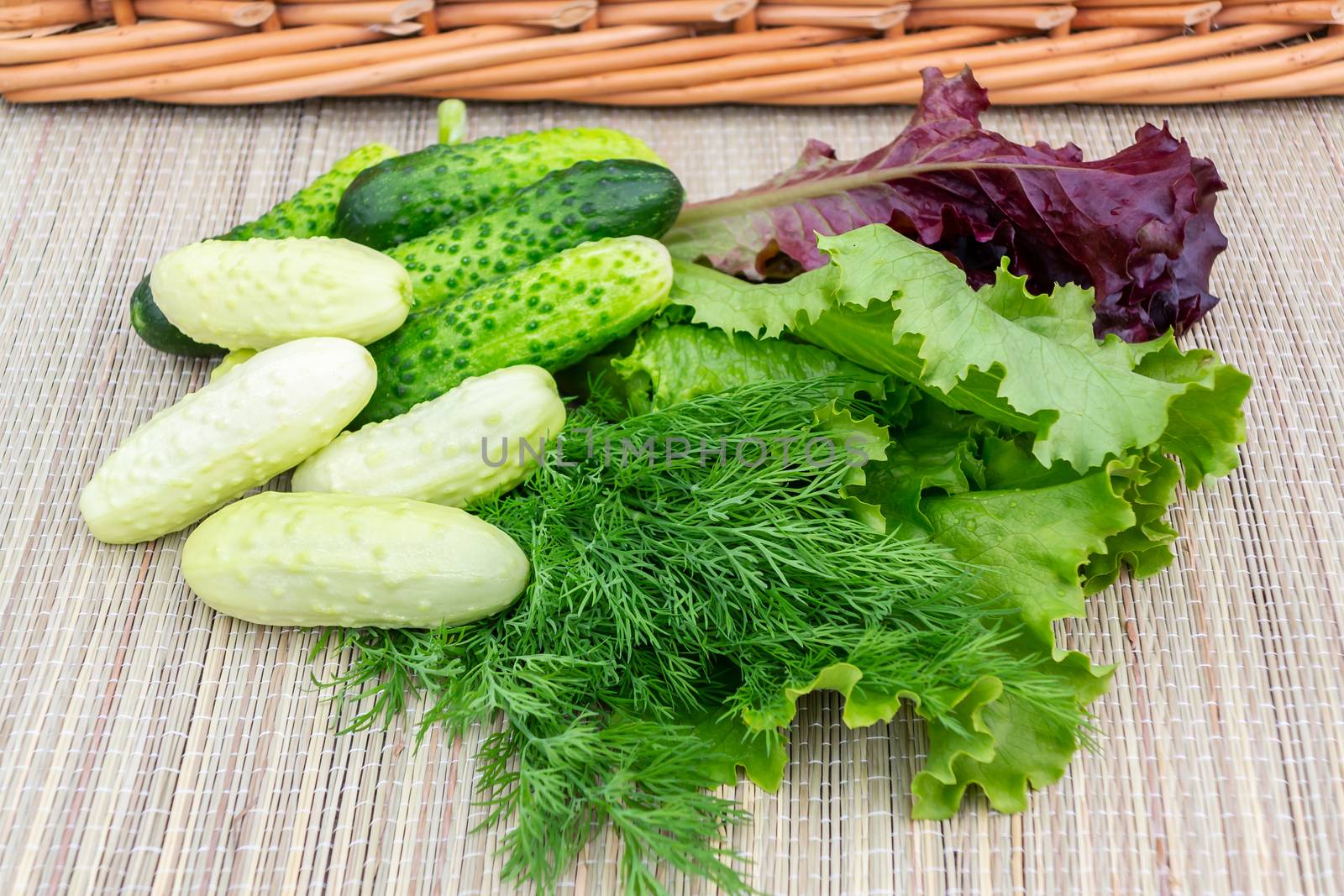 Multi-colored leaf lettuce, cucumbers, dill on a wicker napkin prepared for slicing salad.