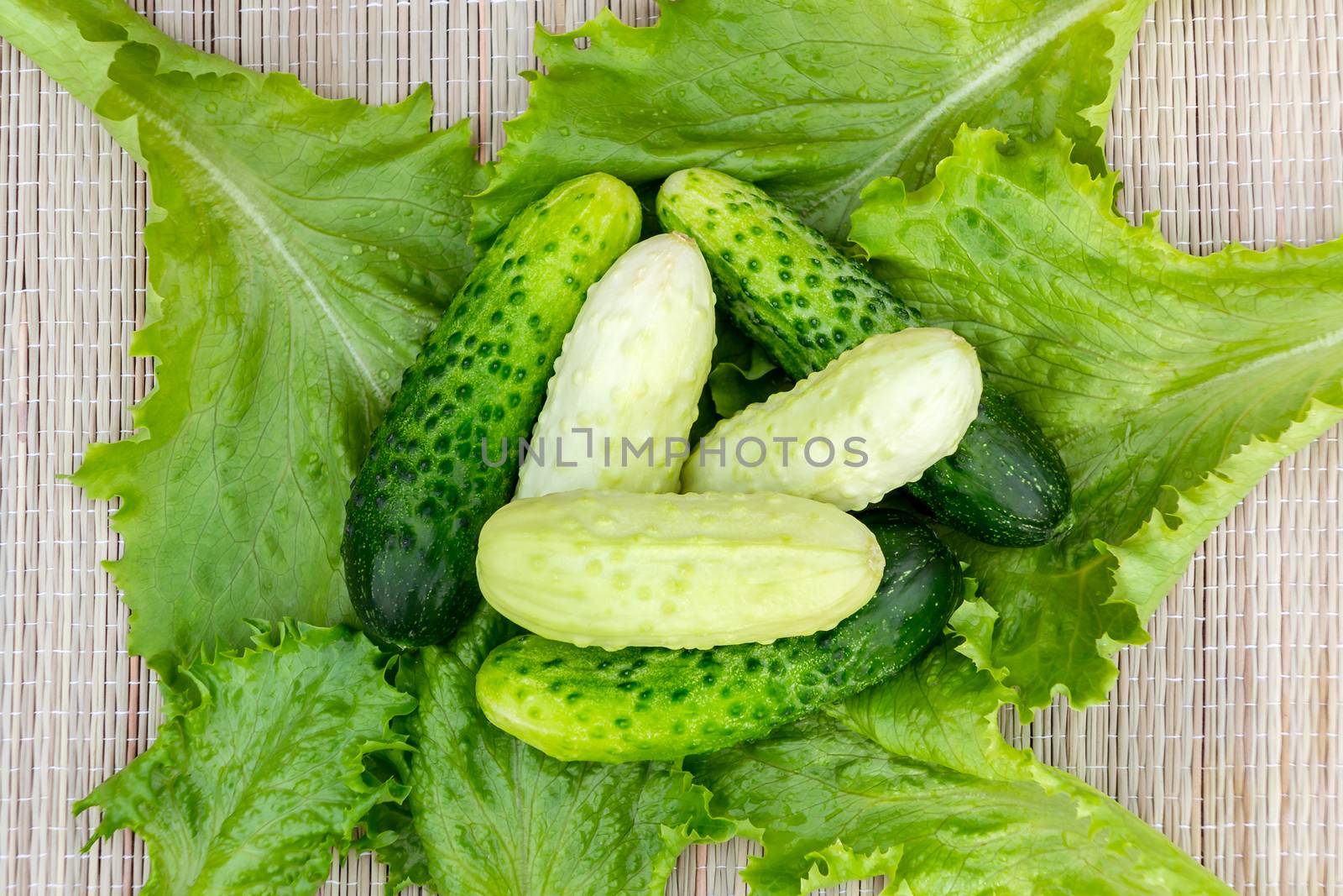 Few fresh cucumbers gherkins of different varieties on lettuce leaves.